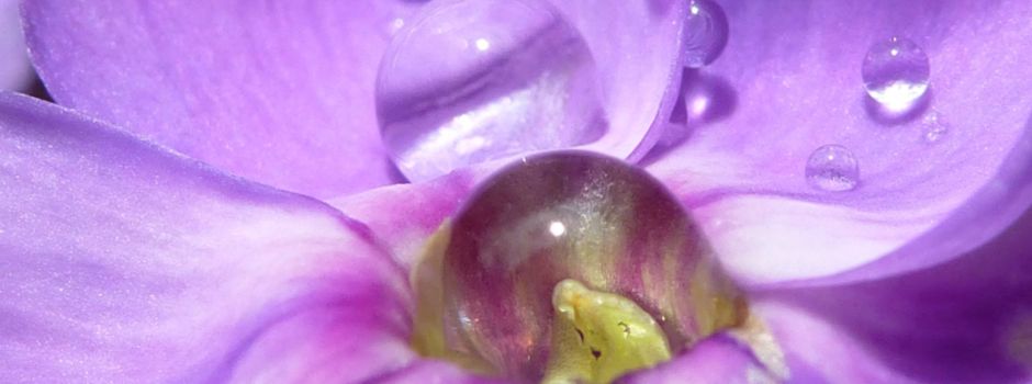 Exkursionen fallen aus