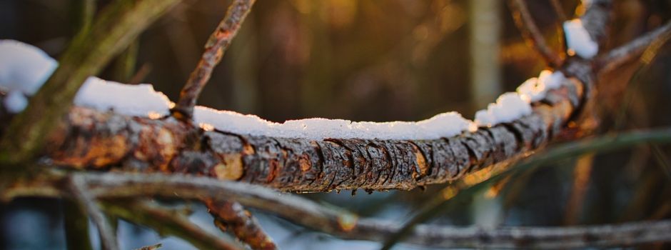 Öffnungszeiten Astplatz