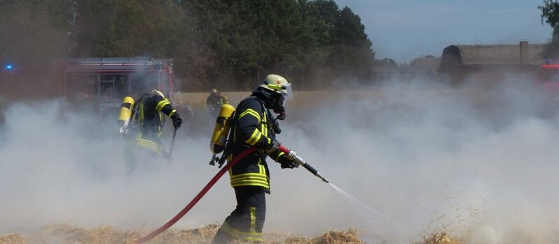 Gedroschenes Kornfeld in Flammen