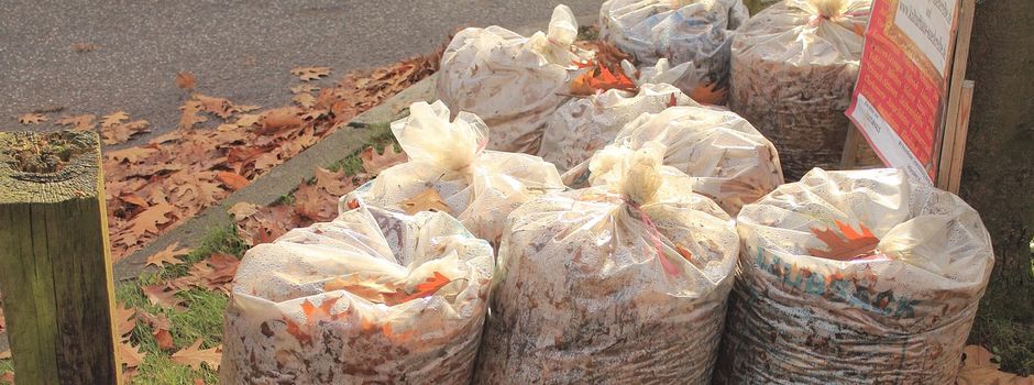 🍂 Laubentsorgung 2026: Container in Lalendorf aufgestellt