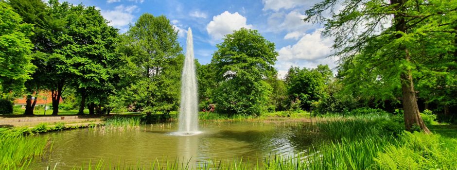 Frische Ideen für Böhmepark?