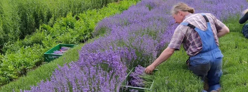 Landfrauen besuchen Bioland-Hof in Eimke – Plätze frei