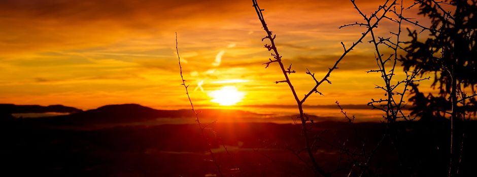 Auf zur Sonnenwendfeier