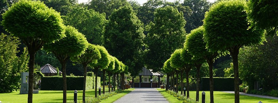 Heimat- und Urlaubsfeeling: So wird das Wochenende in Augsburg
