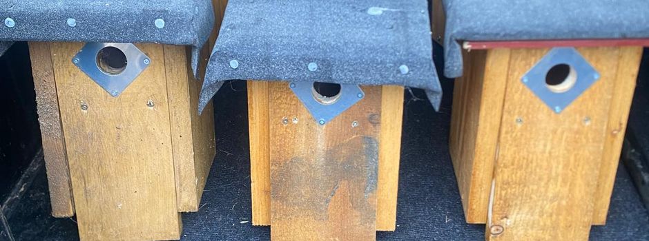 Nistkästen Aktion mit NaVo e.V.