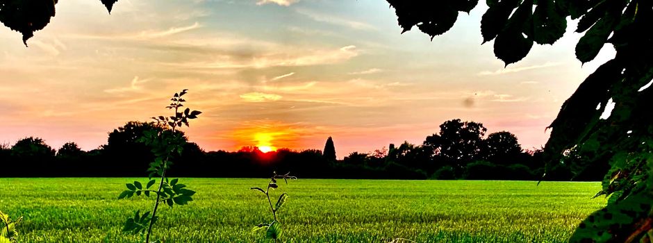 Klimawoche: Sonnenuntergang im Brock