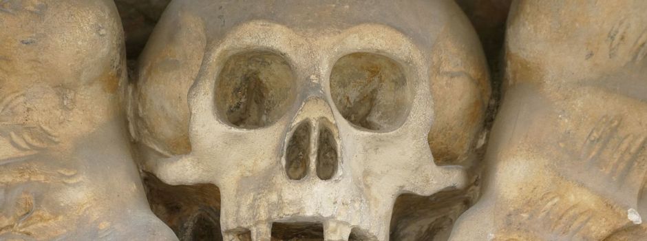 Als der Schwarze Tod nach Mainz kam