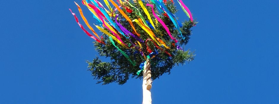 Maibaum in Oberdürenbach steht