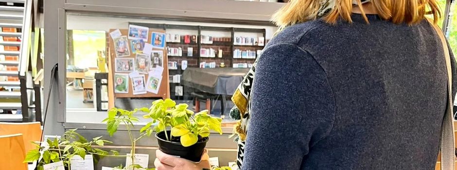 In der Bibliothek Pflanzen tauschen