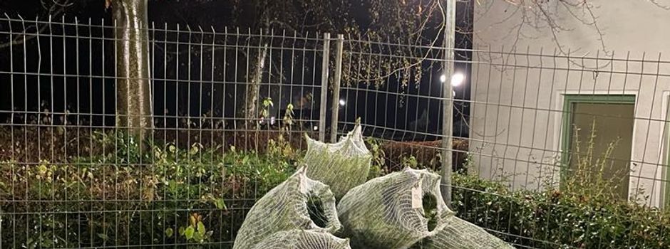 Weihnachtsbaumverkauf