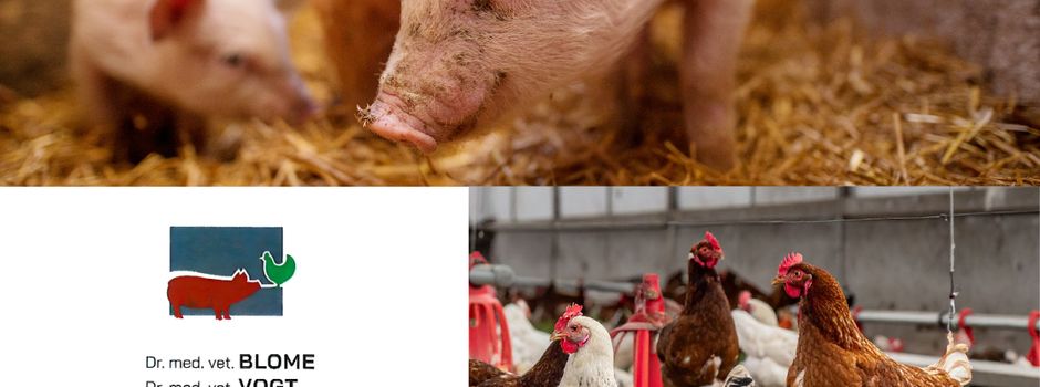 Tierärztliche Gemeinschaftspraxis sucht Kauffrau/Kaufmann für Büromanagement (m/w/d) in Teilzeit