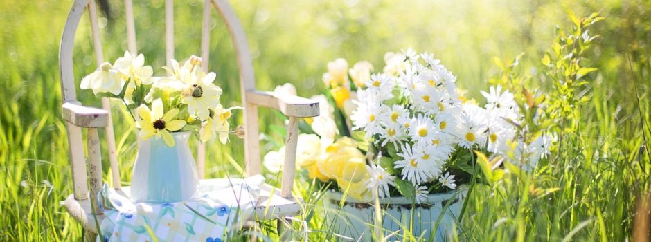 Pflanzenflohmarkt 🌼🌱🌿