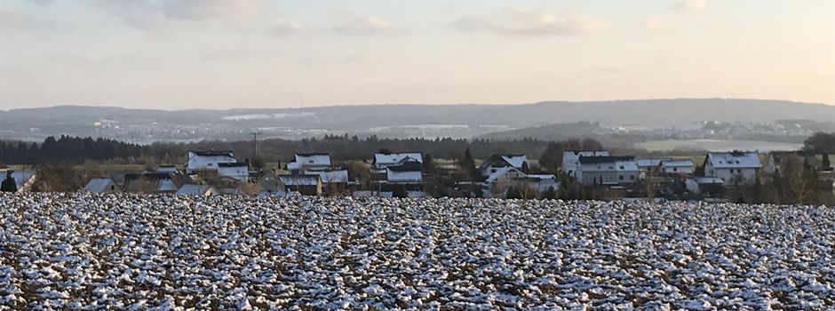 Leider immer wieder Vorfälle mit nicht angeleinten Hunden