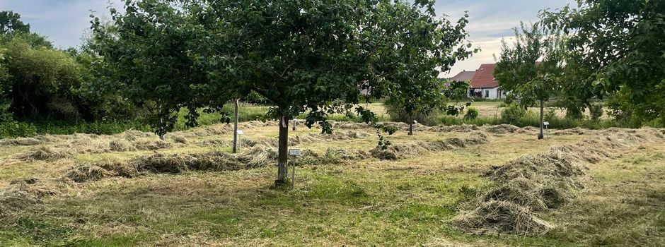 Ehrenamtlicher Einsatz im Naschgarten Grünow