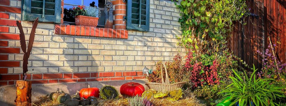 Woche der kommunalen Nachhaltigkeit: Arbeit & Wirtschaft 