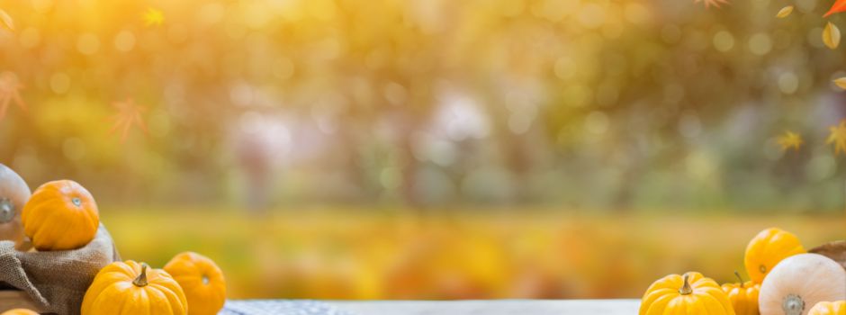 🌾 Erntedank in Hattert