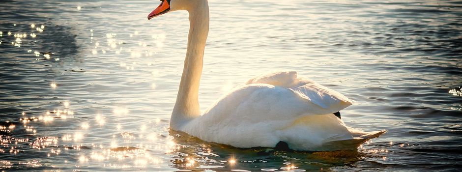 Heute ist Weltwassertag 2024 - mit dem Motto „Leveraging Water for Peace“