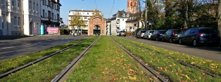 Mainzer Gautor in „Gaytor“ umbenannt: Was dahinter steckt
