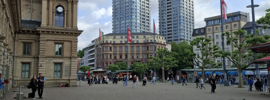 Großkontrolle am Mainzer Hauptbahnhof und im Kaiserpark