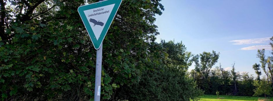 Hier gibt es in Mainz noch Natur