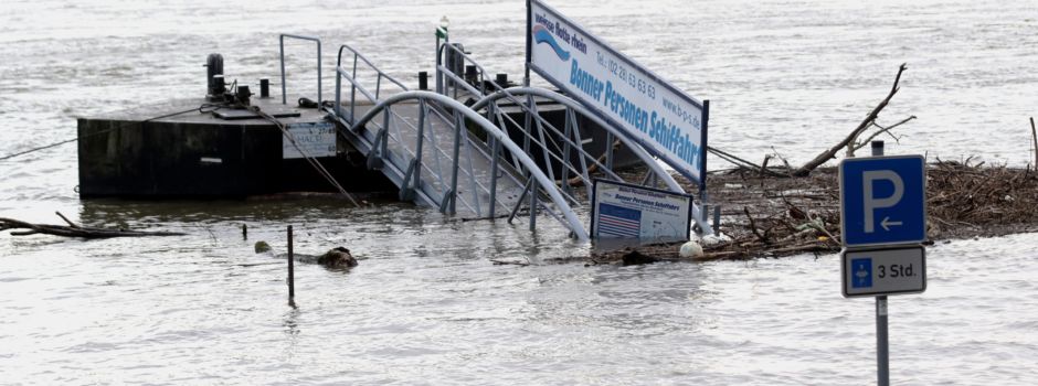 Fotogalerie: Hochwasser in Niederkassel