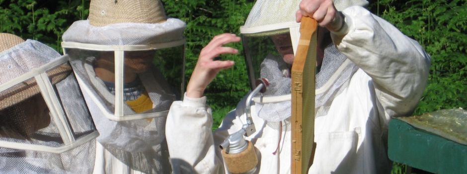 Ameisen- und Bienentag in Ehrhorn