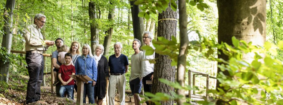 Führung durch den „FriedWald“