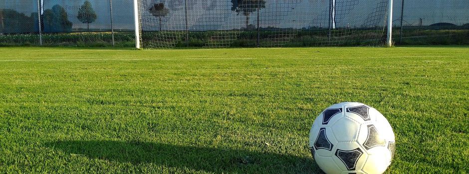 Landkreis Mainz-Bingen fördert ehrenamtliches Engagement und Sportstätten
