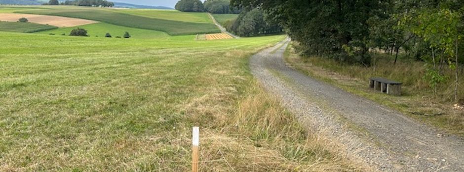Vermessung am Waldrand Obermörsbach