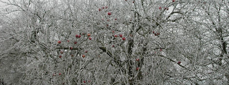 Vorsicht Glatteis-Gefahr: Winter-Wochenende in und rund um Koblenz