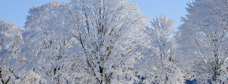 Wir bereiten uns auf den Winter vor…