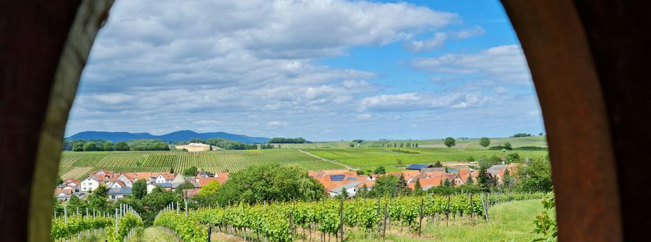 Läbdaach am Freitag