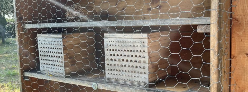 Greenpeace verärgert: Unbekannte plündern Insektenhotel auf Maaraue