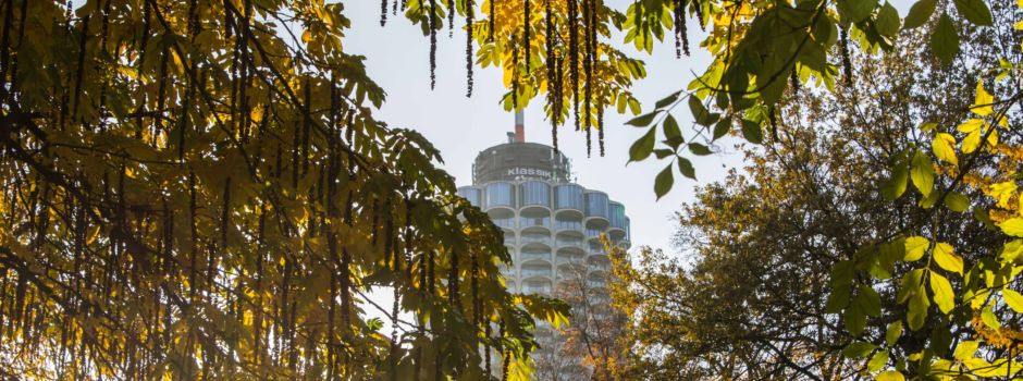Afterwork-Party & Hotelturmlauf – 6 Hallo-Tipps der Woche