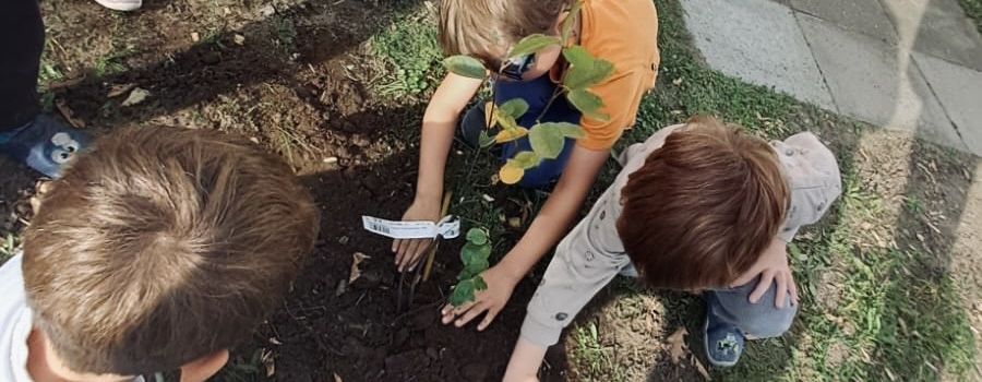 Einheitsbuddeln zum Tag der Deutschen Einheit am 03.10.2026- auch in der Kindertagesstätte ‘de lütt Kinnerstuv‘ Wensin