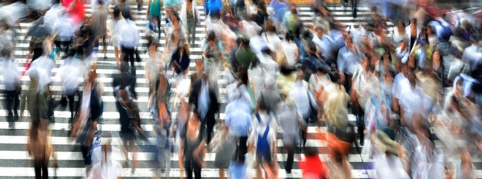 Bundesweites Chaos beim Zensus – auch in Mainz?