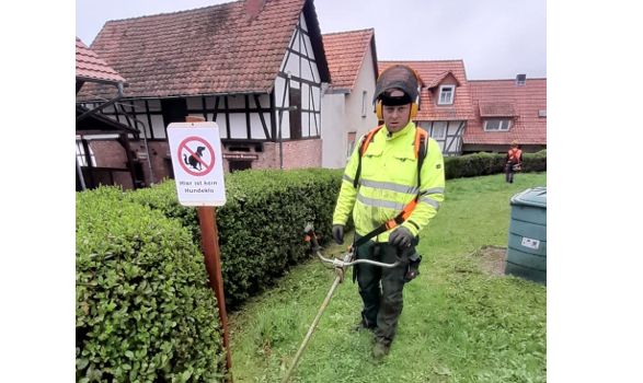 Können Hunde lesen?