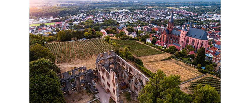 Verborgene Geschichte entdecken: Führung durch die Oppenheimer Burgruine Landskron
