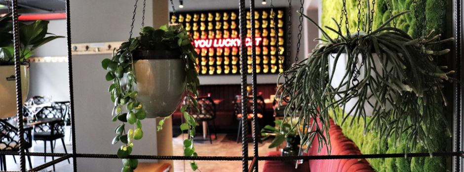 Must-eat: 5 außergewöhnliche Restaurants in Augsburg
