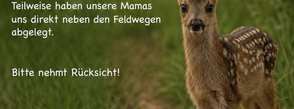 Bitte bleibt auf den Wegen und leint eure Hunde an