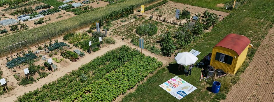 Der Weltacker Wetterau - ein Bildungsort 