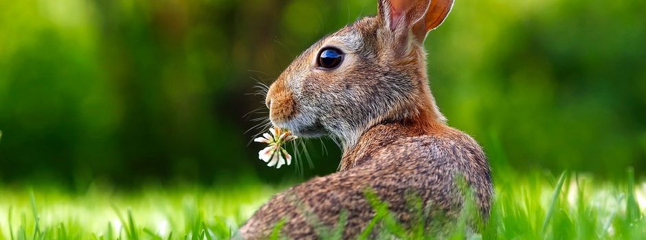 Oster-Basteln in den Vororten