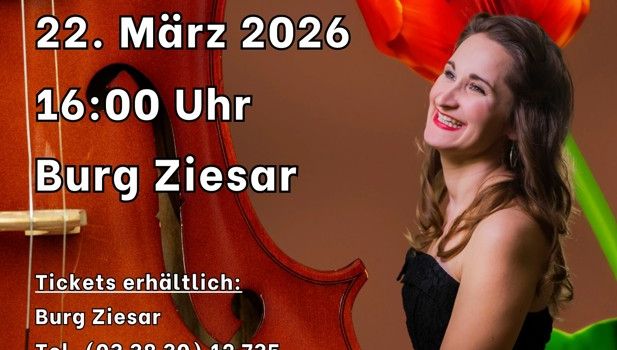 Tulpen aus Amsterdam