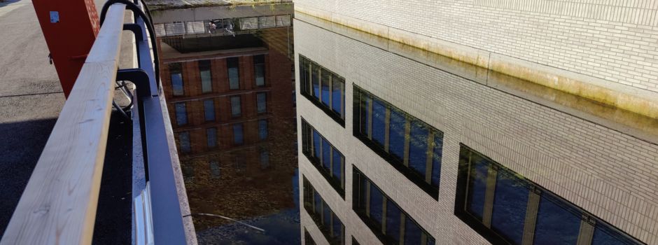 Mann angelt Goldfische in Mainzer Grachten – Kripo ermittelt