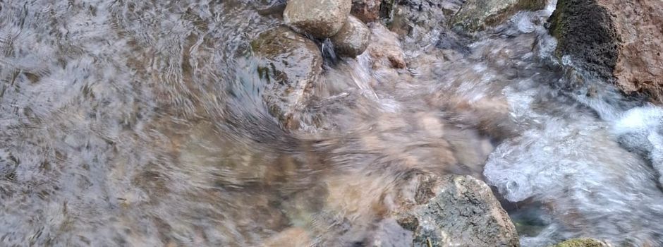 Vandalismus an der Wassertretanlage in Niederdorf