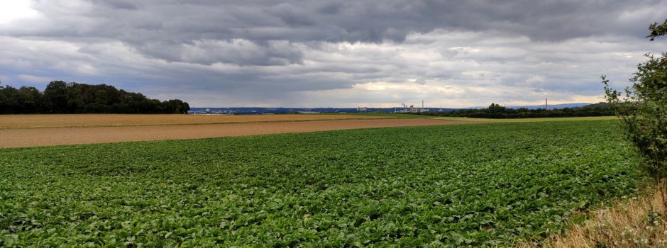 „Meilensteine“ bei Entwicklung des Ostfelds in Wiesbaden