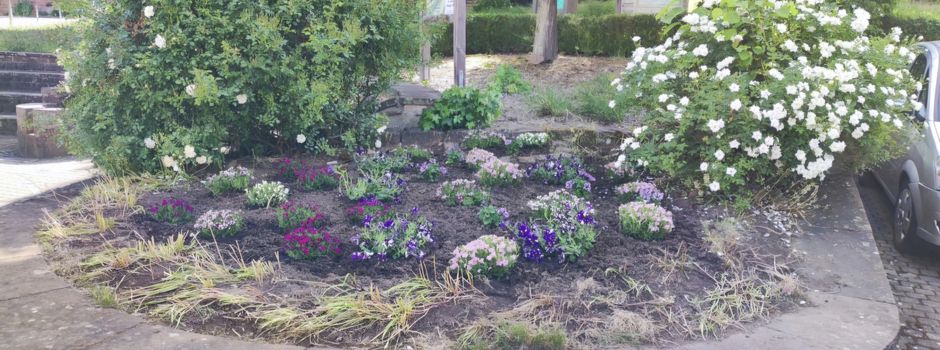 Blumenbeet in Ortsmitte neu bepflanzt