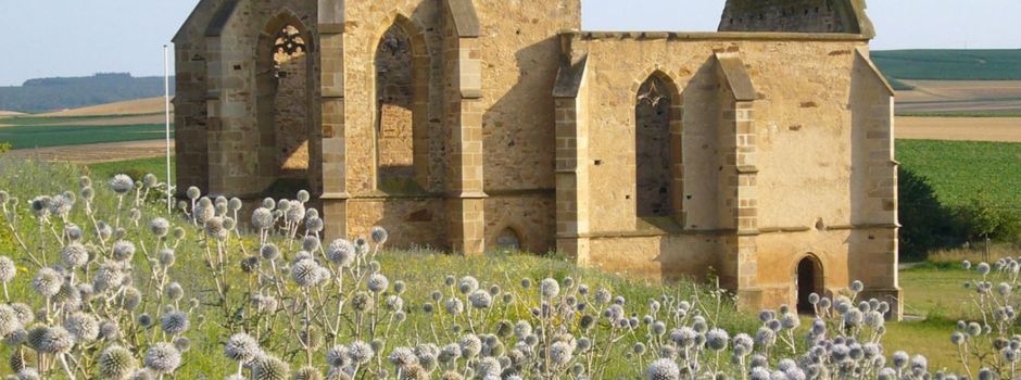Weinbergswanderung in Eckelsheim steht bevor