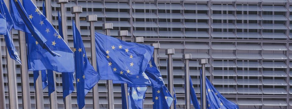 Wahlhelfer für die Europawahl am 9. Juni 2024 gesucht
