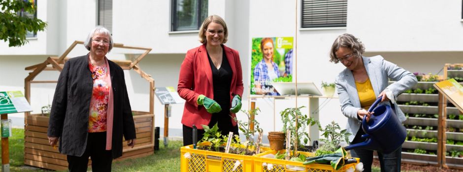 Urban Gardening an der Hochschule: Innovative Konzepte zum Abschauen